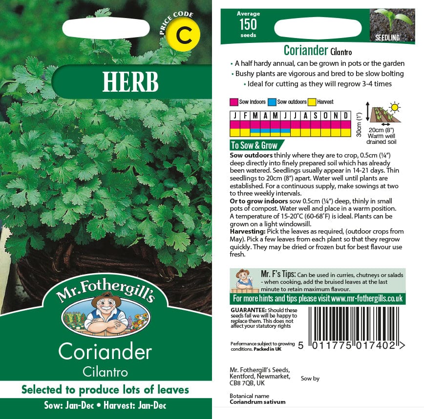 Coriander Cilantro for Leaf Seeds