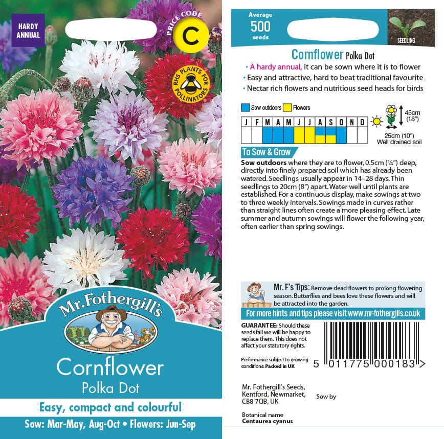 Cornflower Polka Dot Seeds