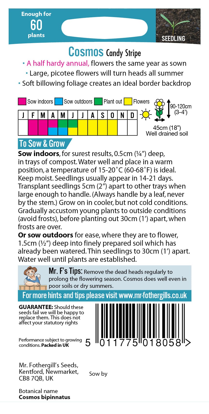 Cosmos Candy Stripe Seeds