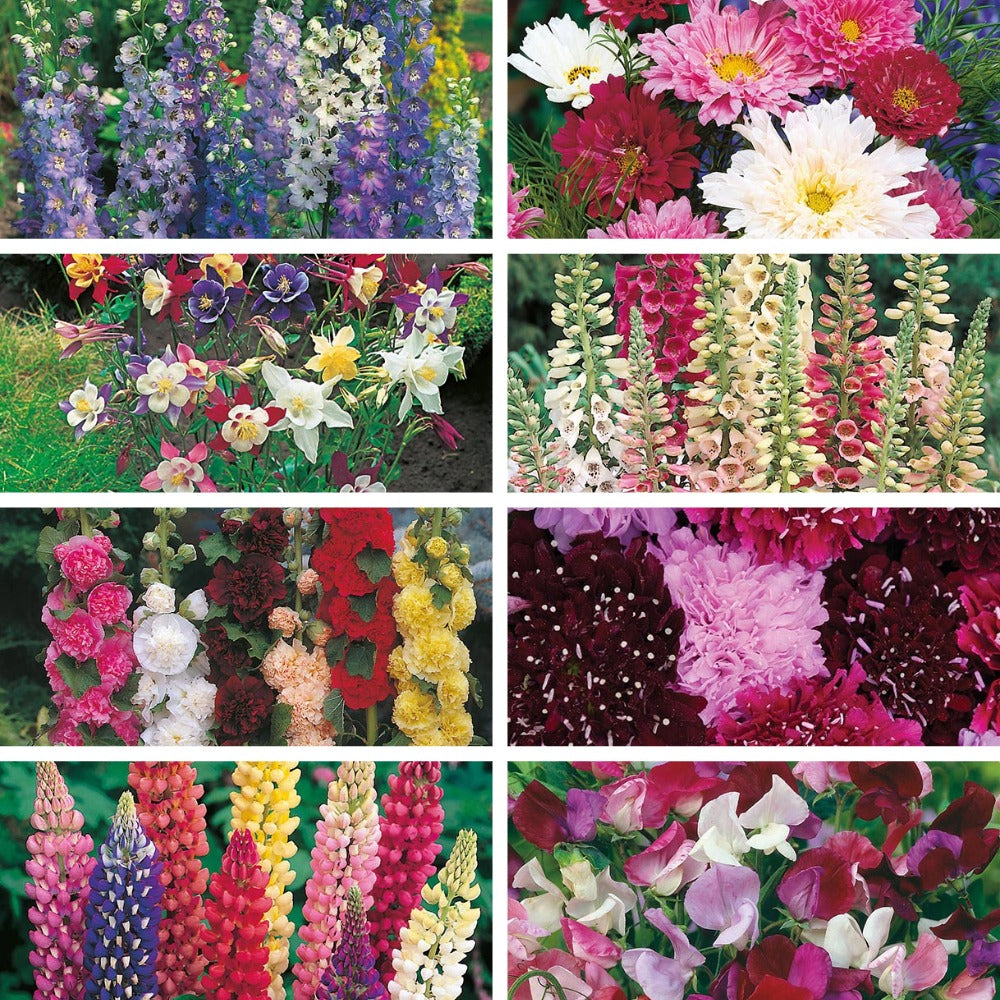 Cottage Garden Favourites Collection