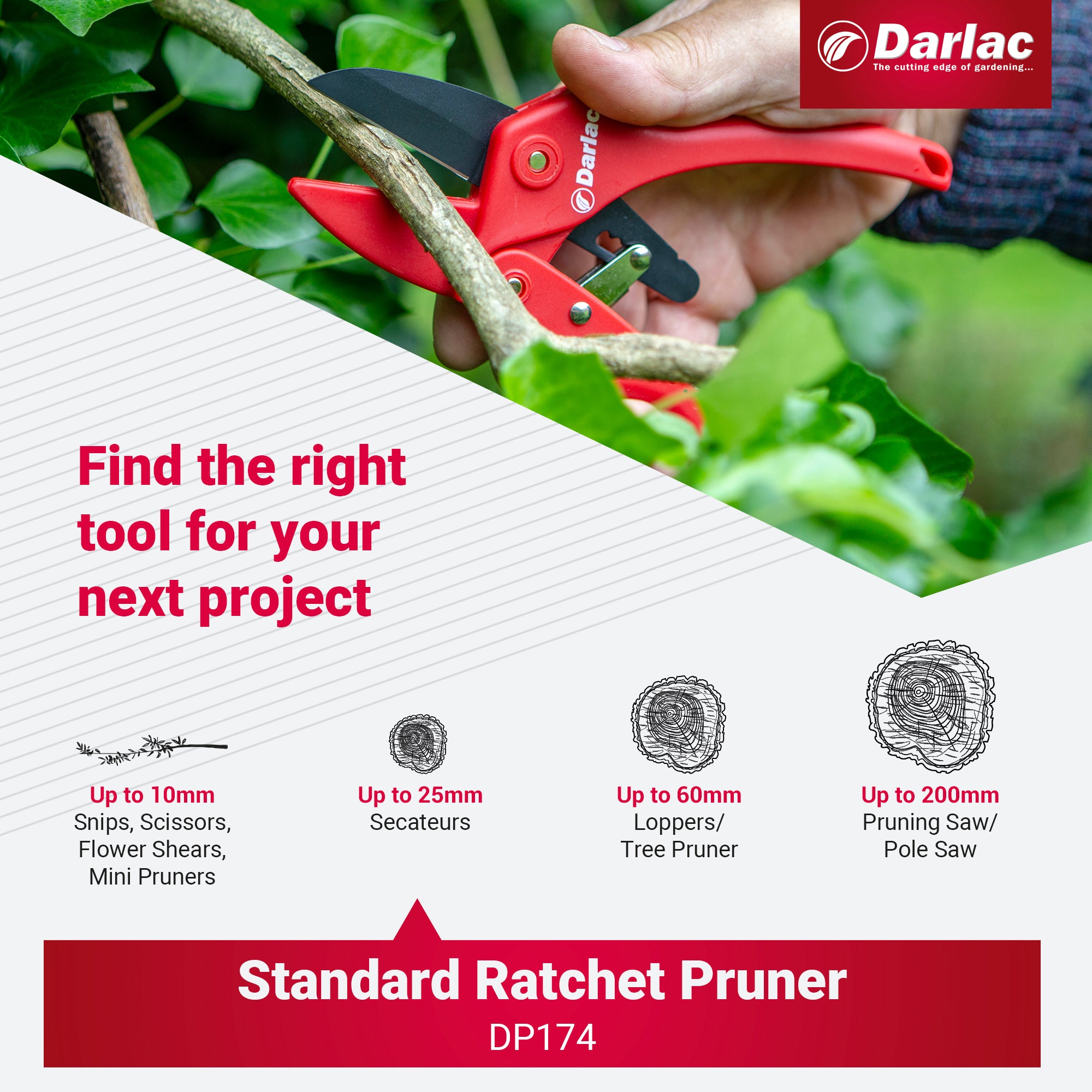 Darlac Standard Ratchet Secateurs
