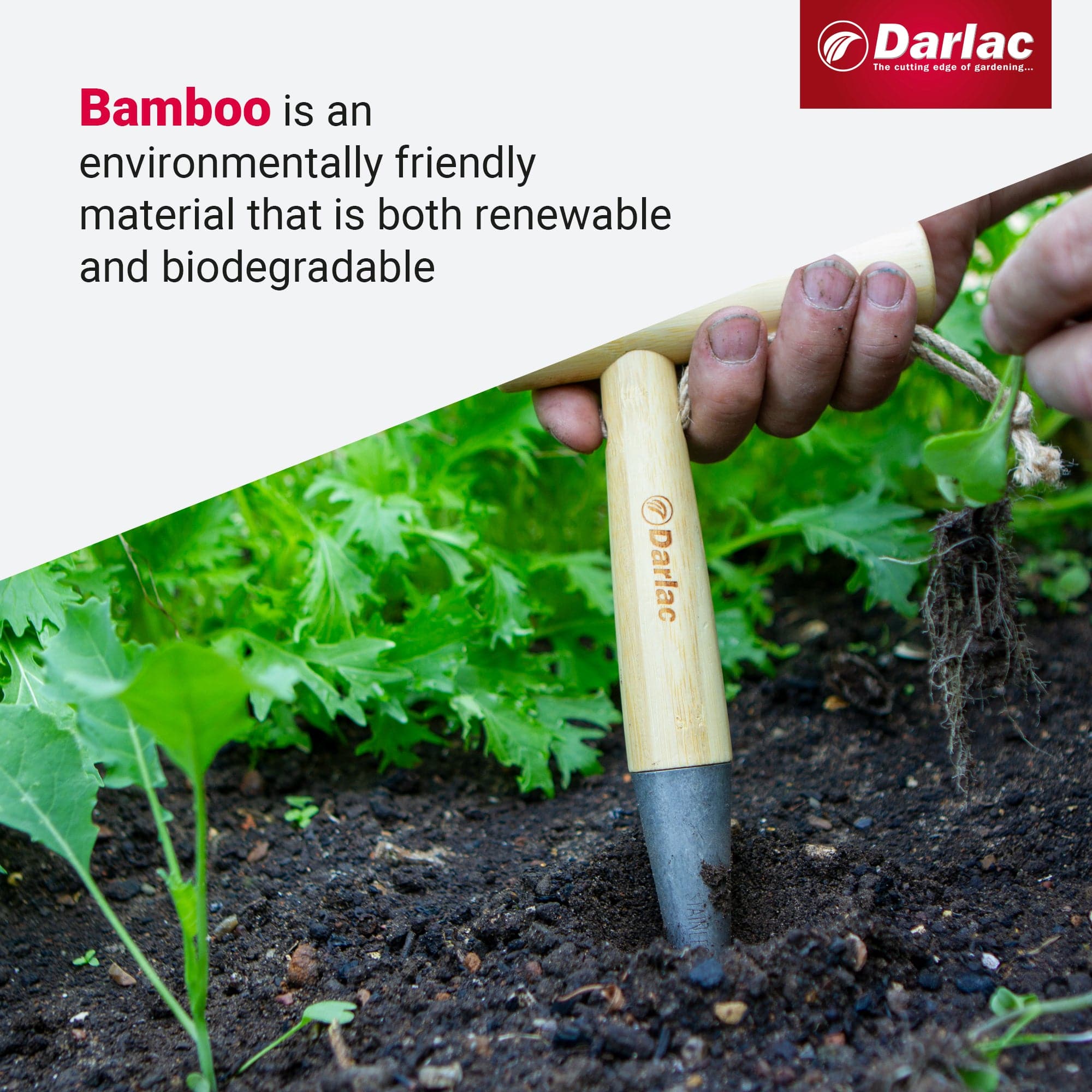 Darlac Bamboo Dibber