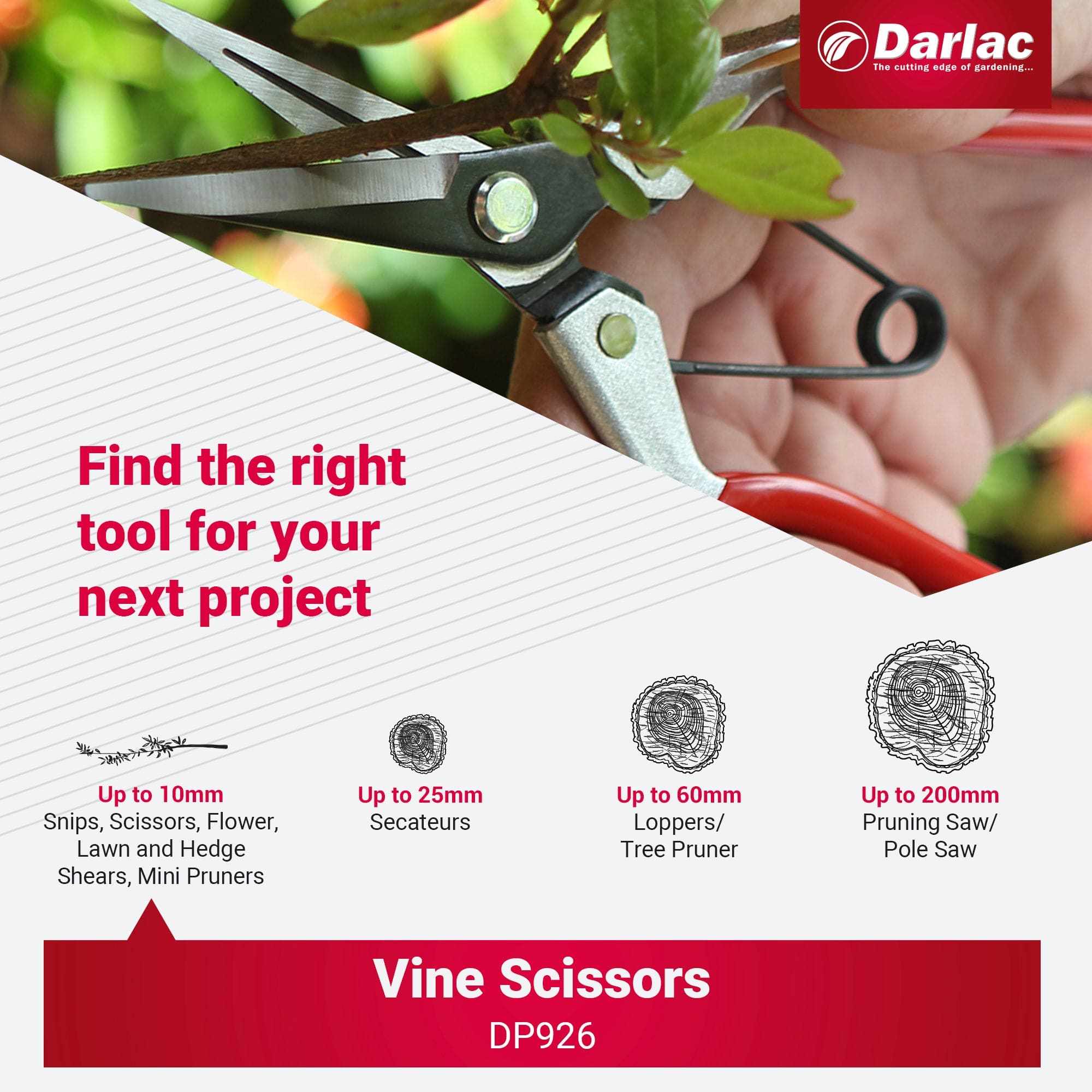 Darlac Vine Scissors