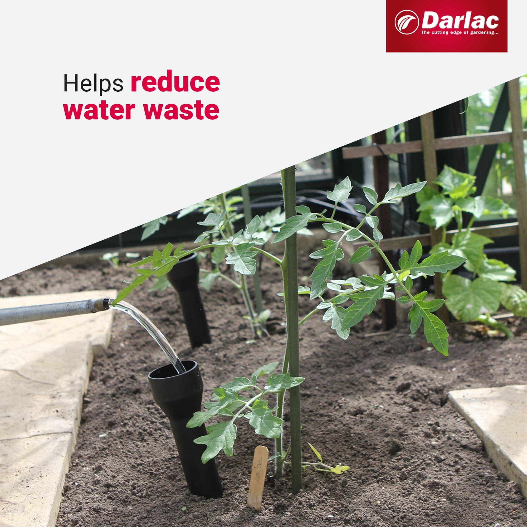 Darlac Root Watering Funnels