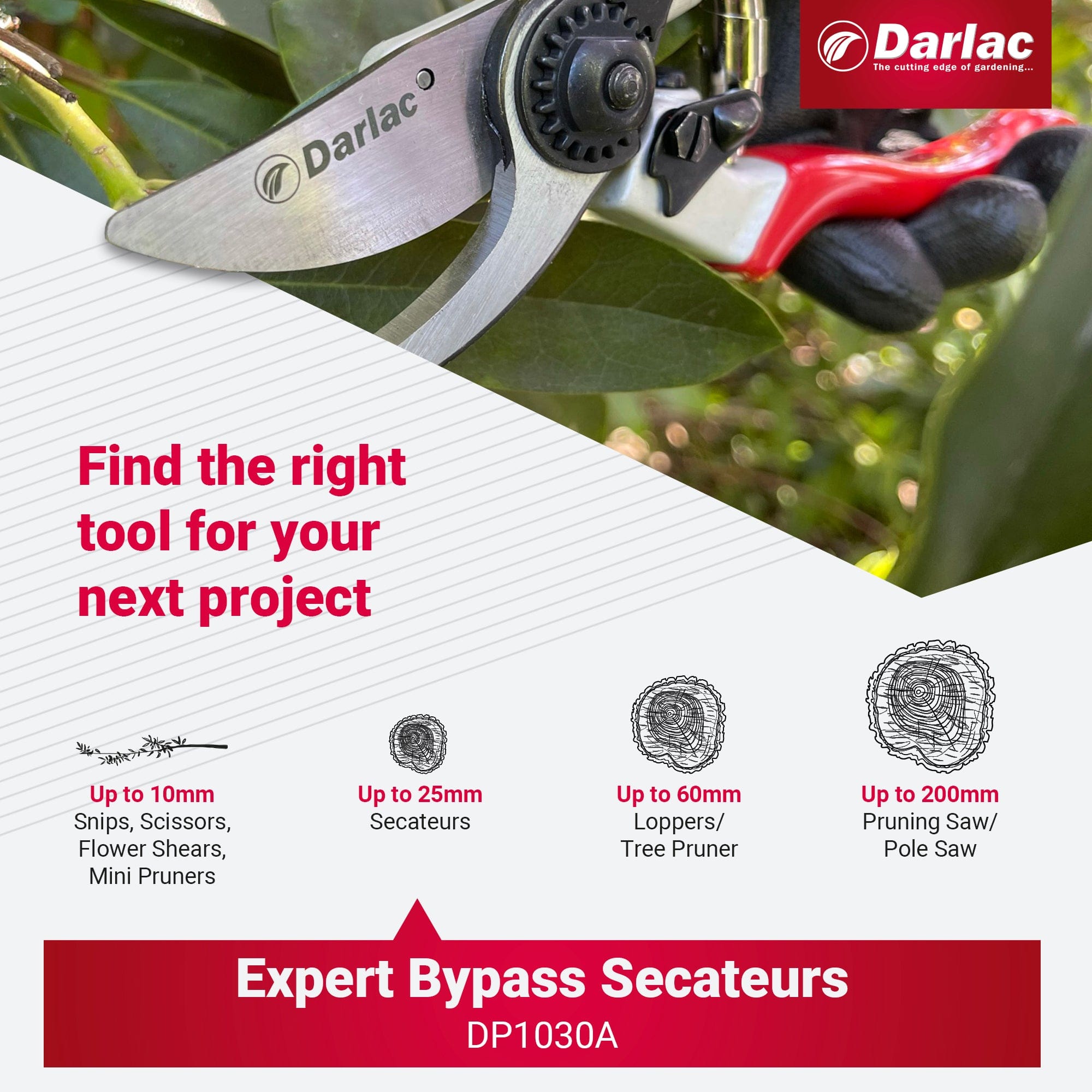 Darlac Expert Bypass Secateurs