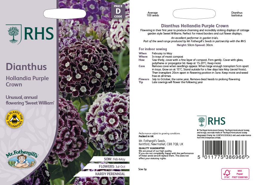 Dianthus Hollandia Purple Crown Flower Seeds