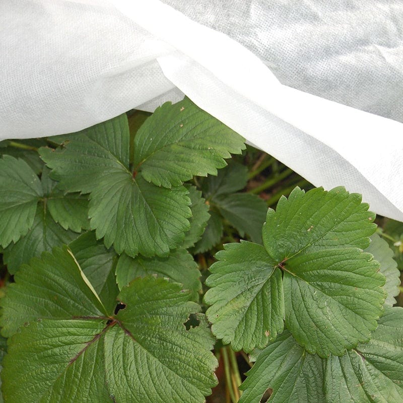 Envirofleece 30g Frost Plant Protection (2.4 x 5m)