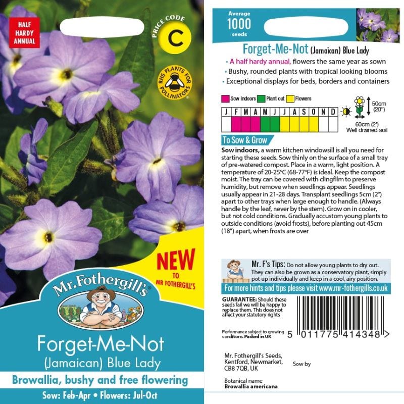 Forget Me Not (Jamaican) Blue Lady Seeds