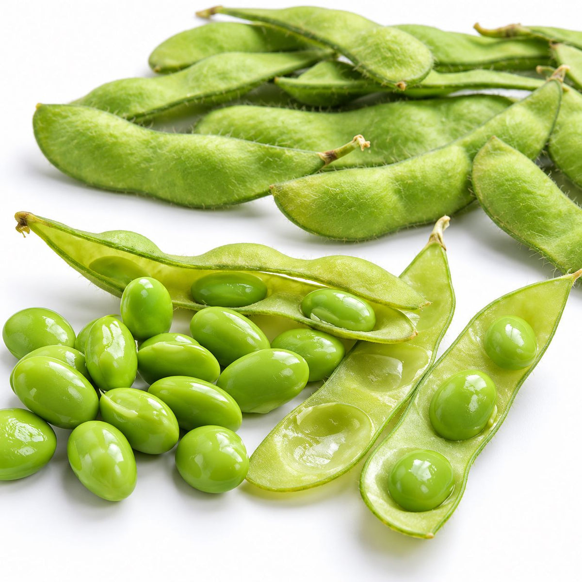 Soya Edamame Bean Summer Shell Vegetable Plants