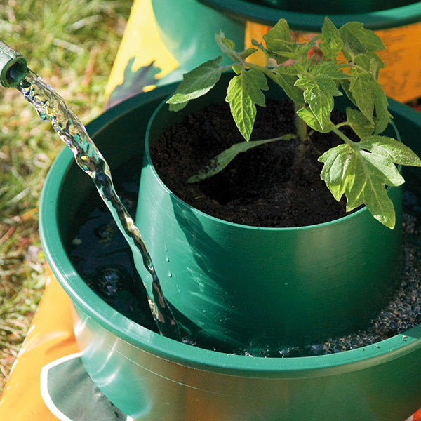 Watering Plant Pot