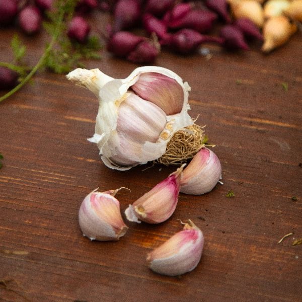 Garlic bulbs on a wooden surface with blurred background