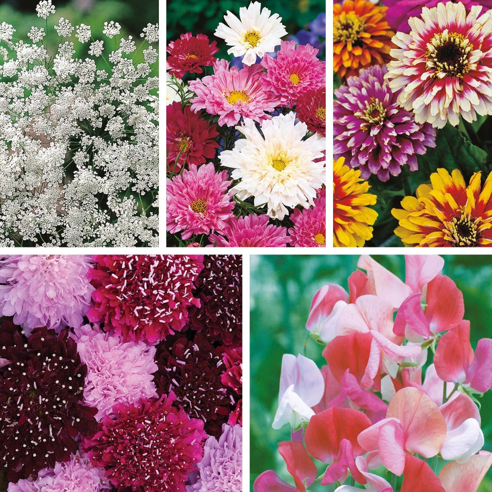 Grow Your Own Bouquet Collection