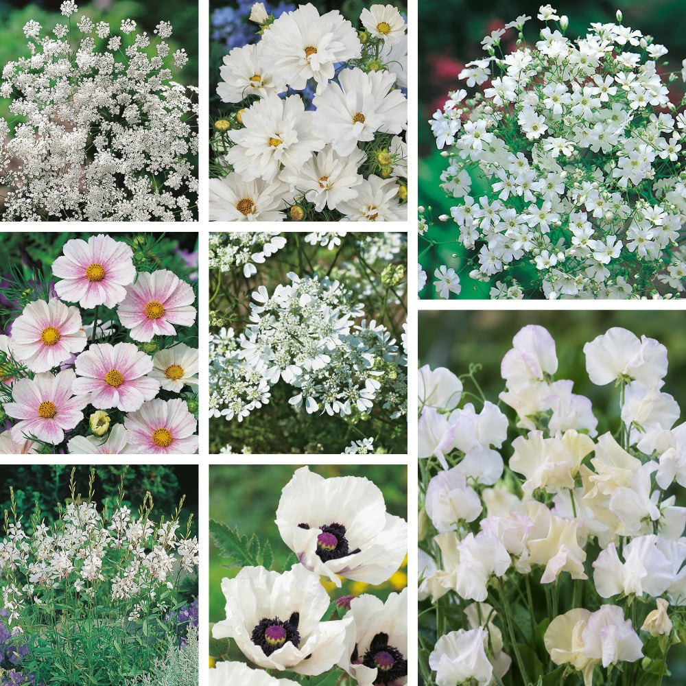 Grow Your Own Wedding Flowers