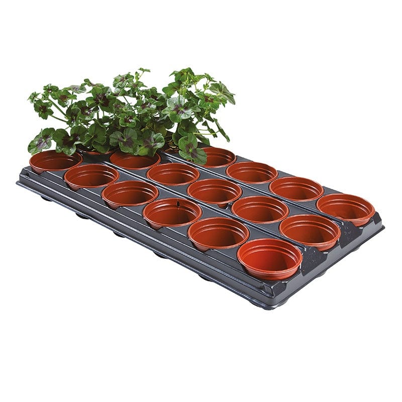 Potting On Propagation Tray & Pots