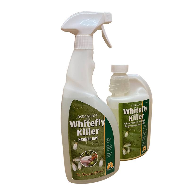 Whitefly Killer Spray & Concentrate