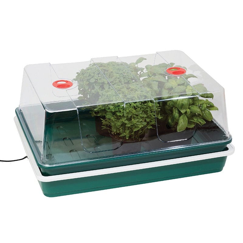 Extra Large High Dome Electric Propagator 24W