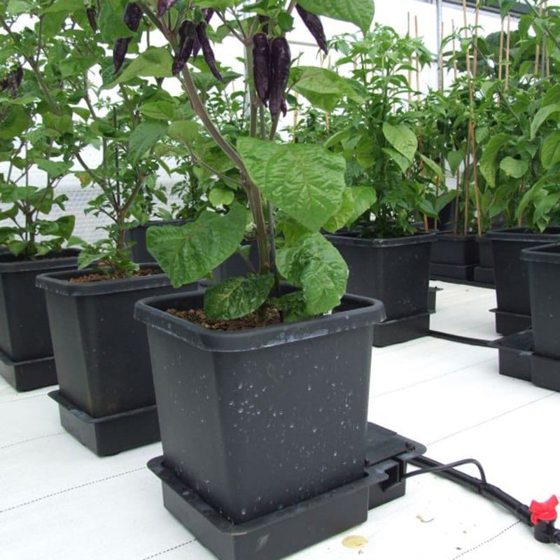 1 Pot Watering System Extension Module