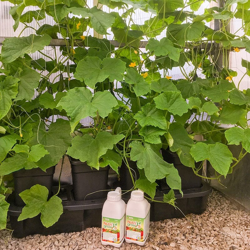 Quadgrow Pots Watering System, 8 Pot