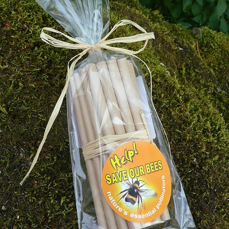 Card Bee Tubes