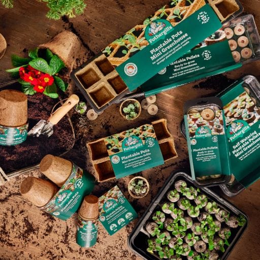 3 For 2 On Fothergill