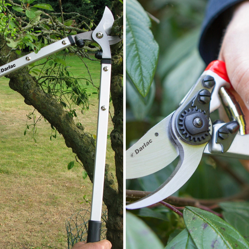 Darlac Expert Pruning Collection