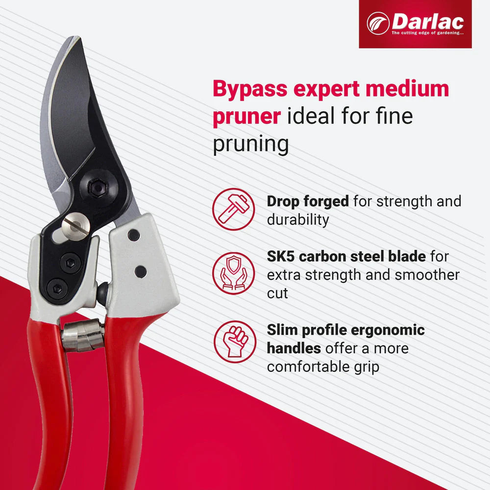 Darlac Expert Secateurs & Loppers Set
