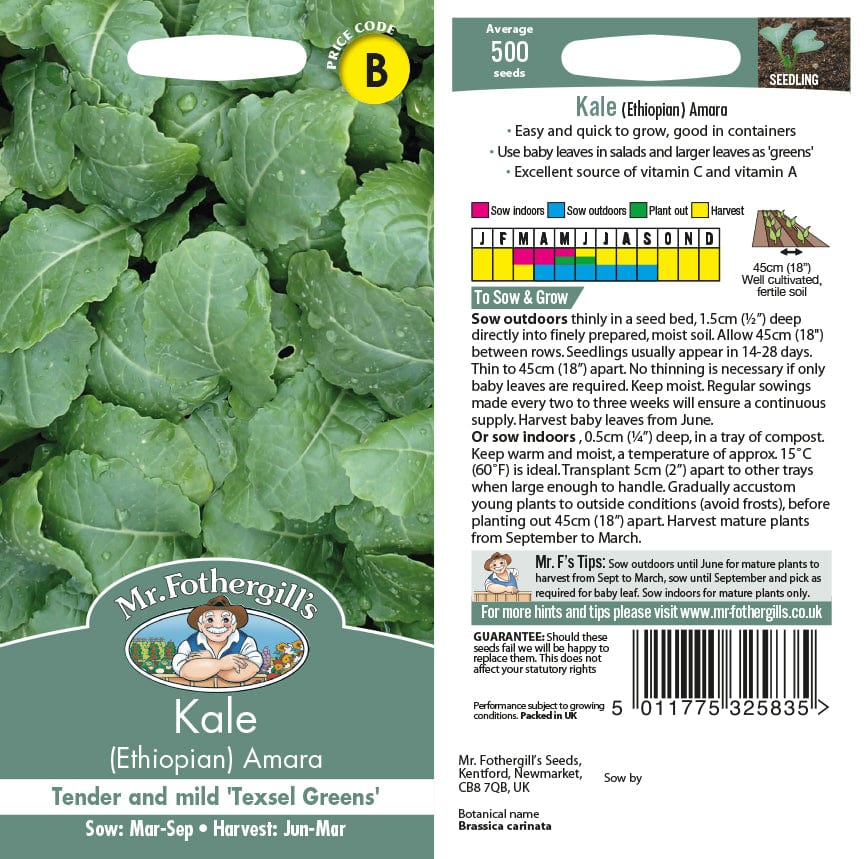 Kale (Ethiopian) Amara Vegetable Seeds