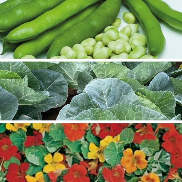 Better together: Blooms & Brassicas