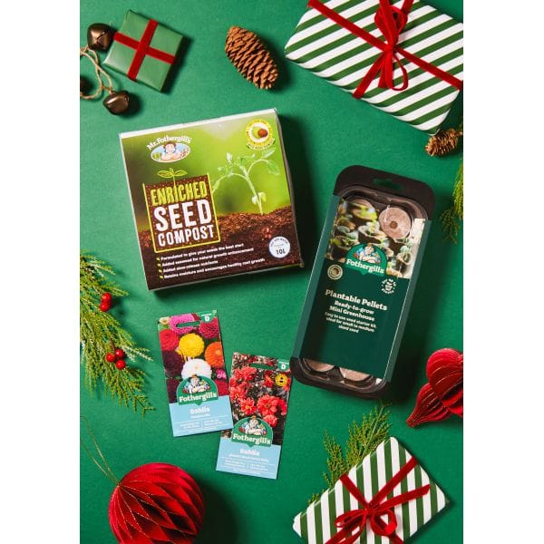 Gifts for the fashion lover