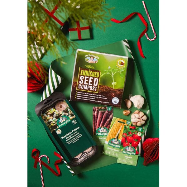 Gifts for the culinary obsessed