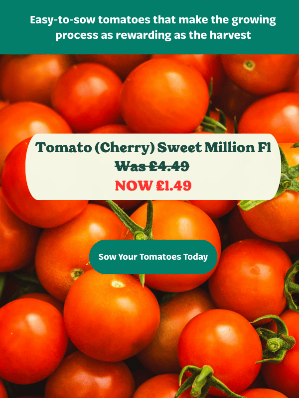 Tomatoes with a promotional banner for 'Tomato (Cherry) Sweet Million Fl' on a green background.