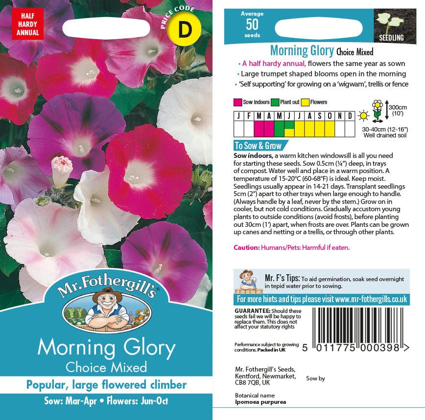 Morning Glory Choice Mixed
