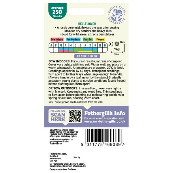 Nature's Helpers Bellflower Wildflower Seeds