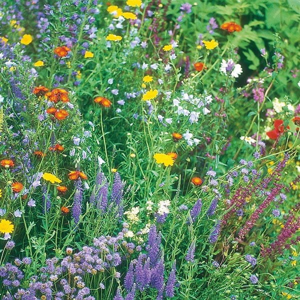 Nature's Helpers Wildflower Wildlife Seeds Mixture