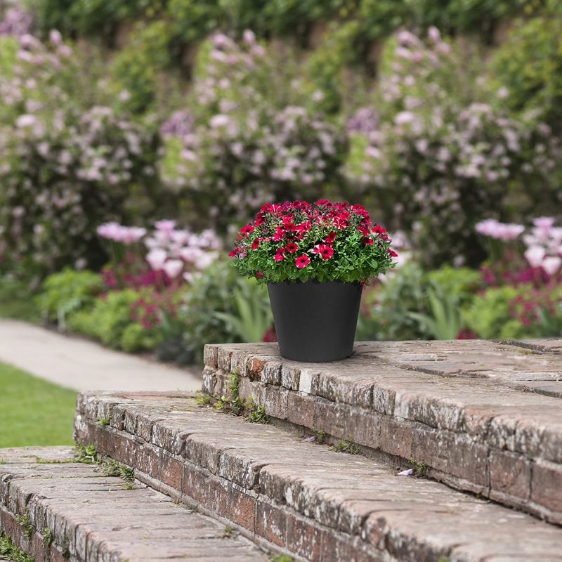 28cm plant pot Octavia Planter 28cm Pot Slate From Mr Fothergill's Seeds
