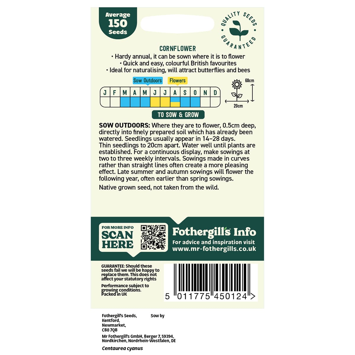 Oh Sow Simple - Wild Cornflower Seeds