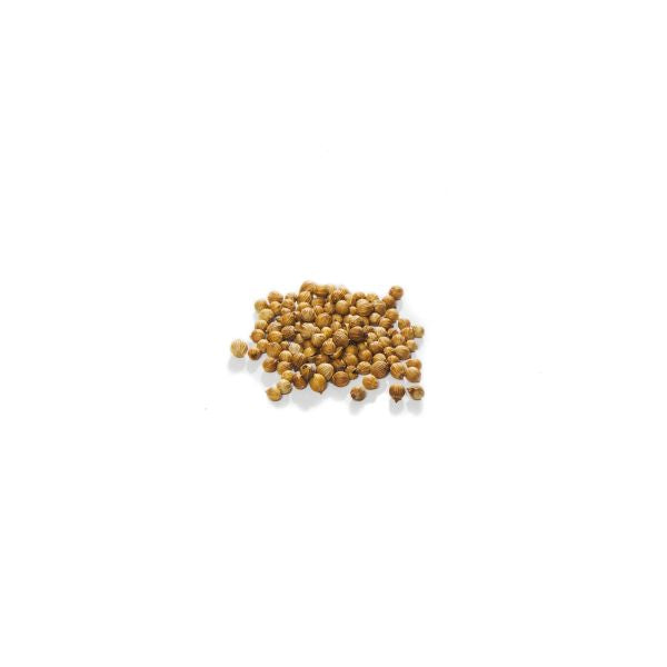 Oh Sow Simple Self-Watering Grow Kit – Coriander
