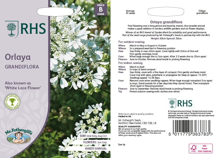 Orlaya Grandiflora Flower Seeds