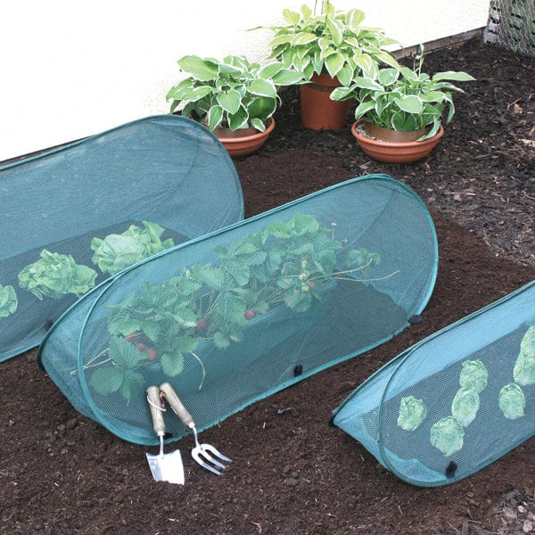 Pop-Up Net Cloche 1m