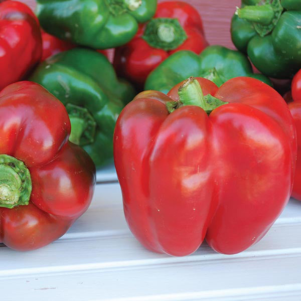 Red and green bell peppers on a white surface