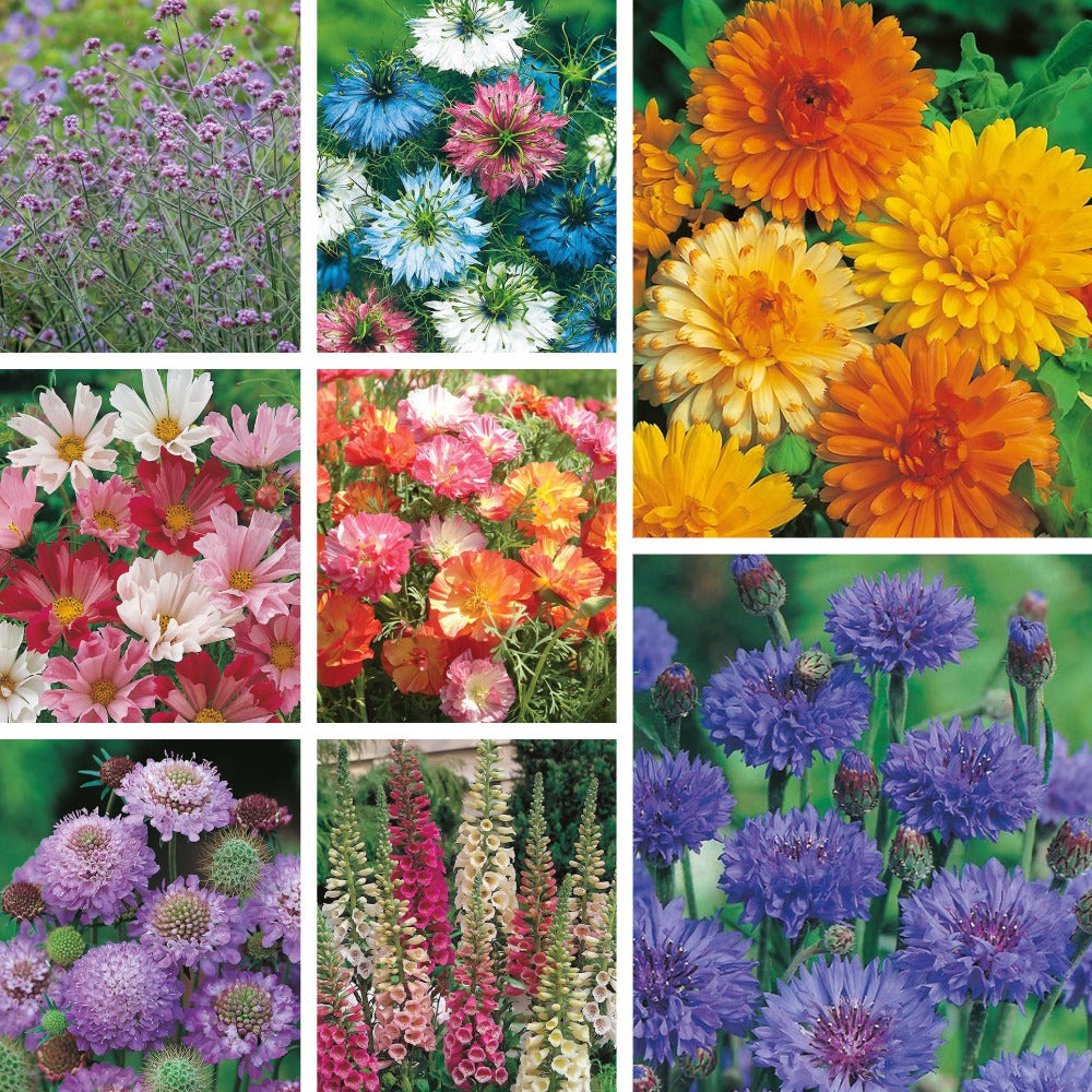 Perfect for Pollinators Pack