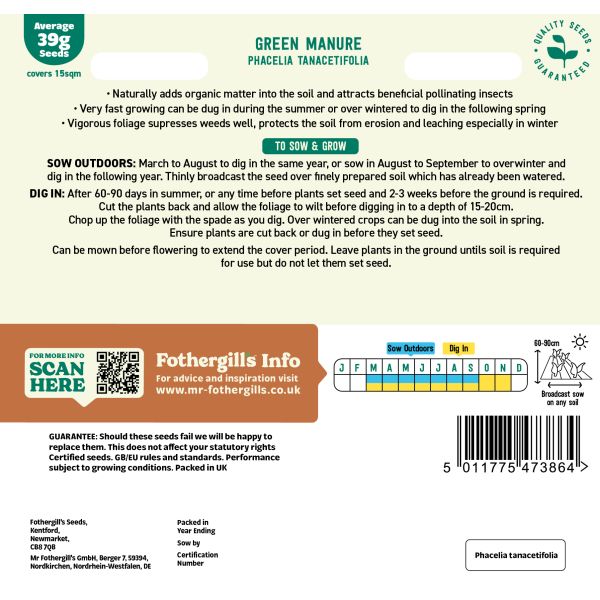 Phacelia Green Manure Tanacetifolia