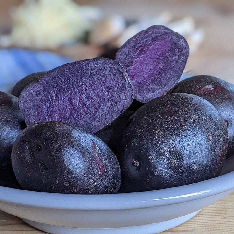Potato Annelise Blue (Maincrop Seed Potato)