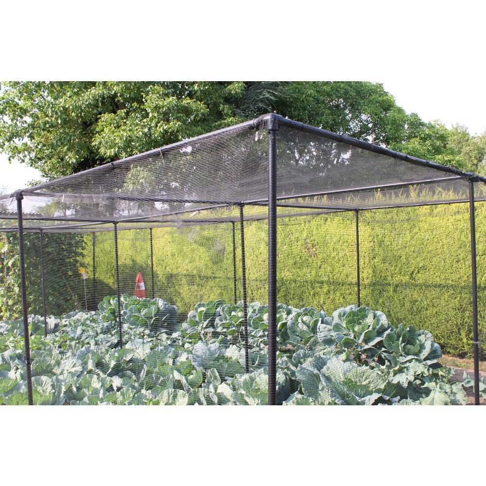 Vegetable garden with a netted cover and trees in the background