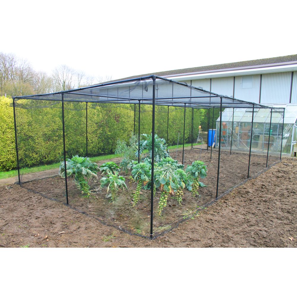 Garden with a black metal frame structure, plants growing inside, and a building in the background.