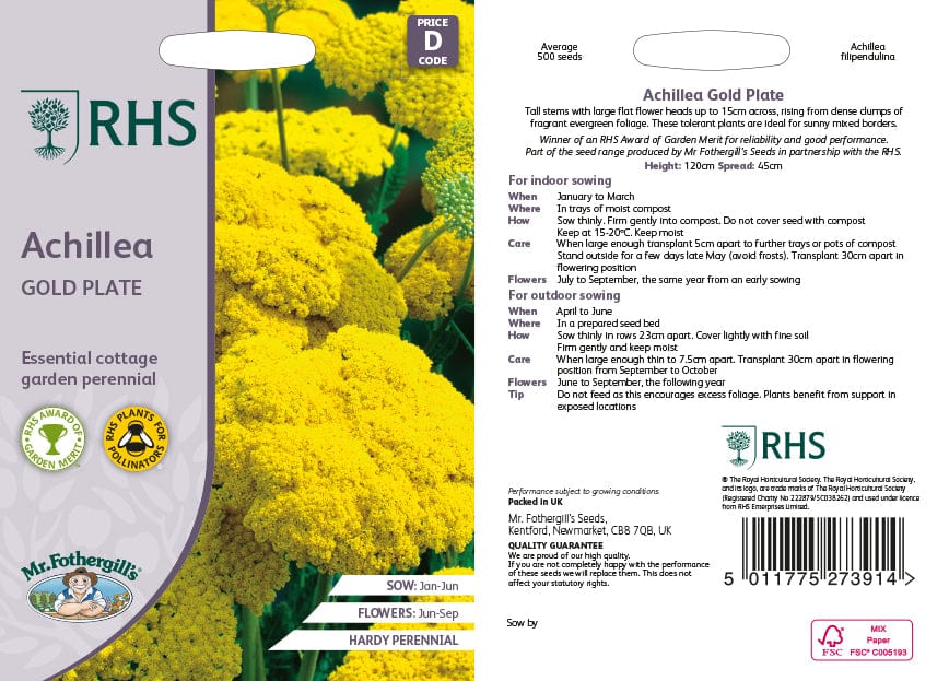 RHS Achillea Gold Plate