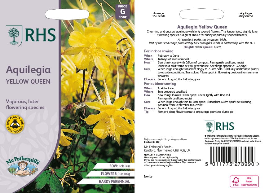 RHS Aquilegia Yellow Queen