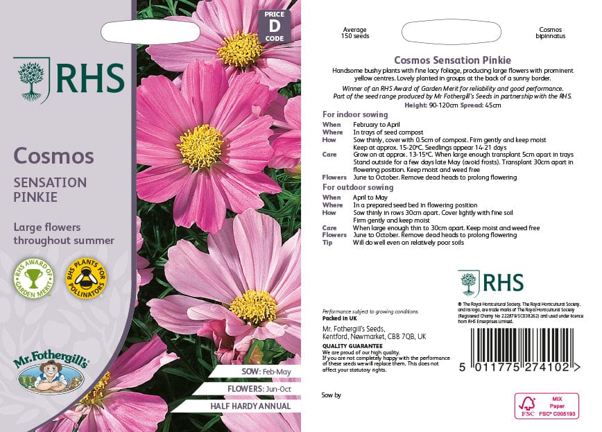 RHS Cosmos Sensation Pinkie