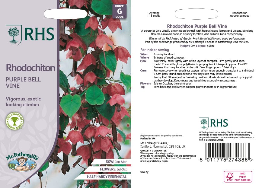 RHS Rhodochiton Purple Bell Vine