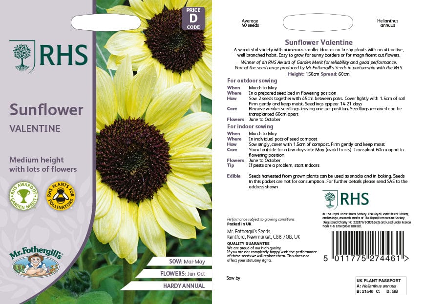RHS Sunflower Valentine